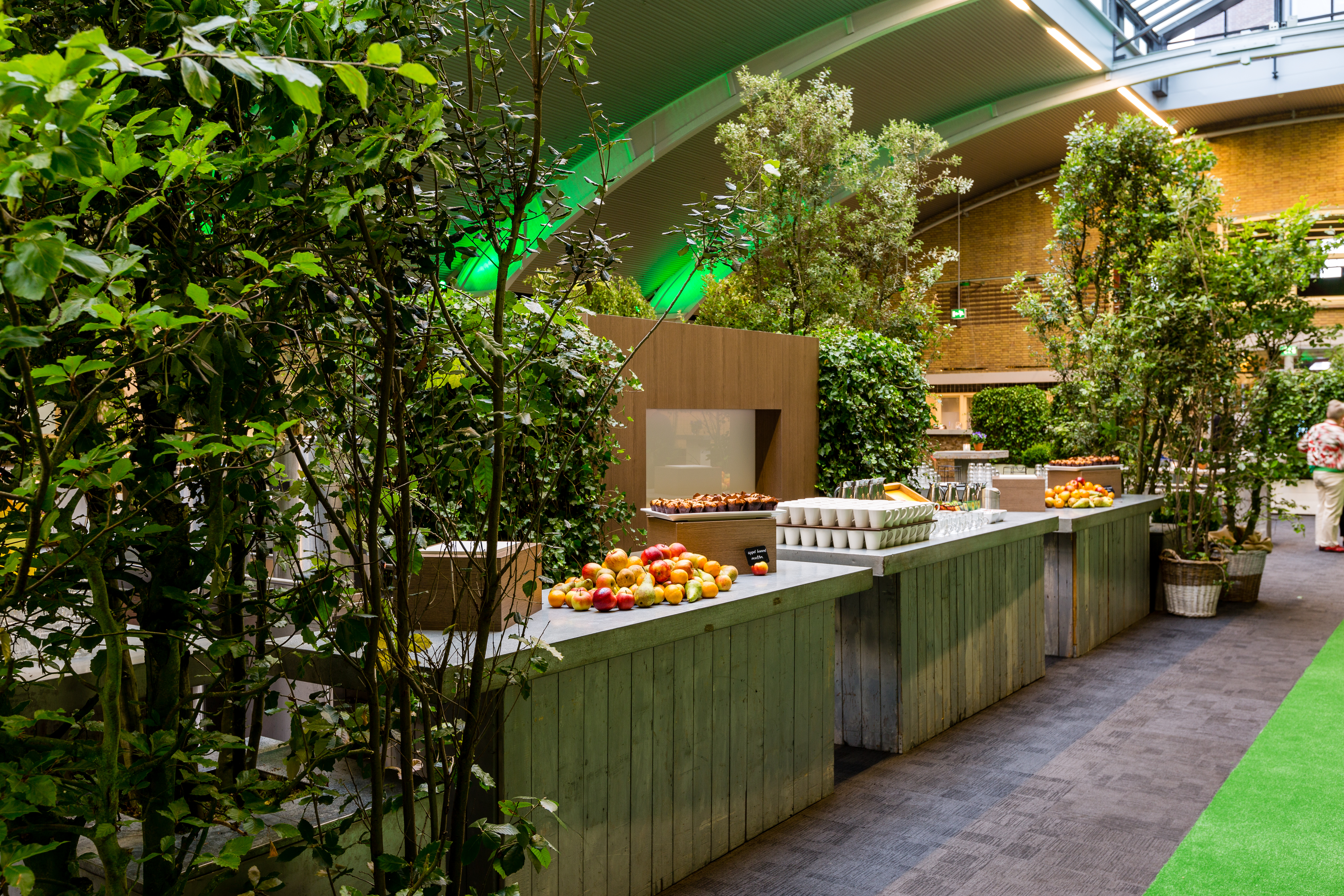 Mietbäume, Buffetttische und Dekorationen für Events, Messen, Veranstaltungen - basdeboer-Eventstyling